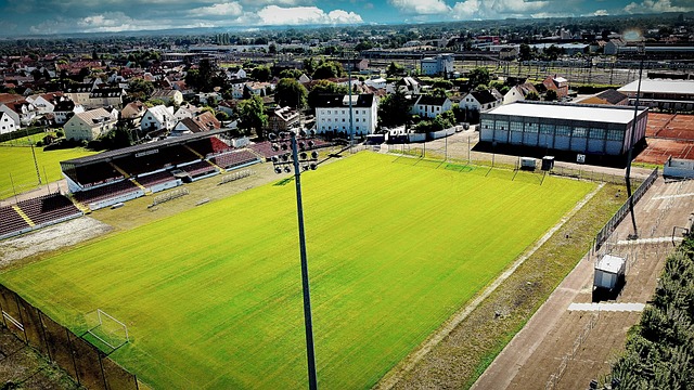 的聯賽中 的聯賽中