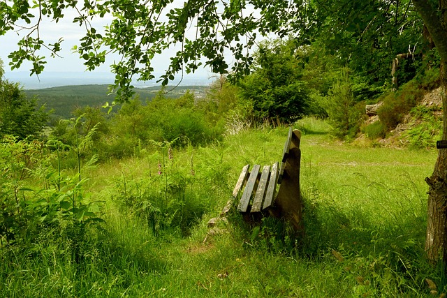 备的素质 备的素质